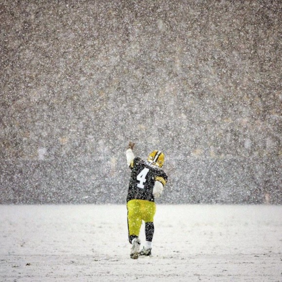 Meet your Posher, Daniel - Picture 1 of 1